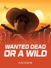 Wanted Dead or a Wild