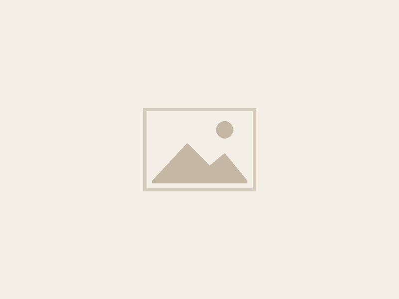 pavé-saumon-écosse-bio-petit